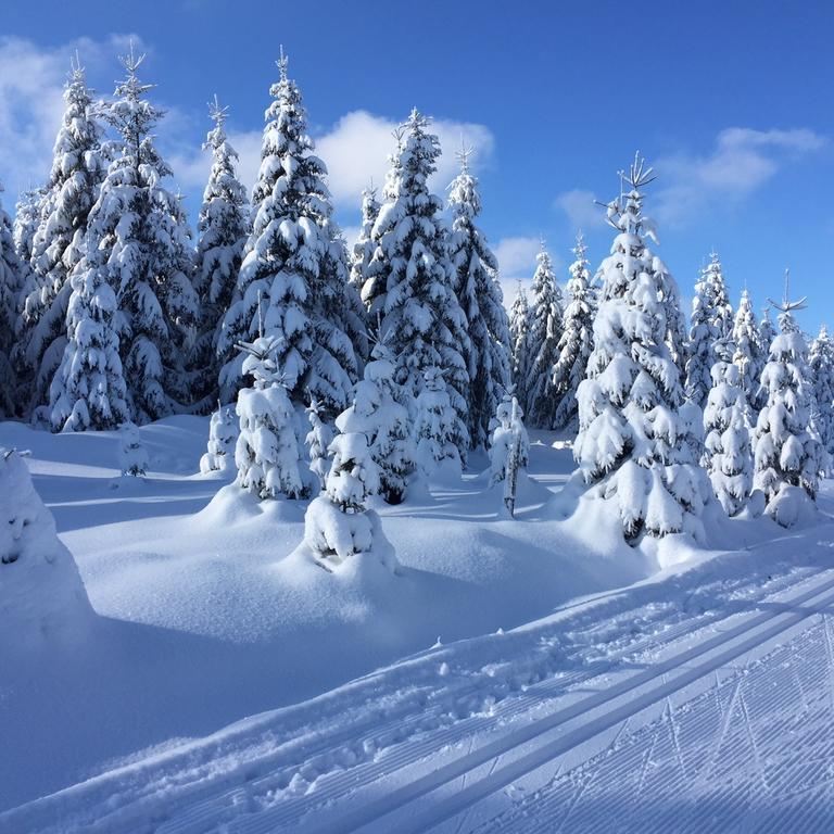 Privat Pohoda Paseky nad Jizerou Luaran gambar